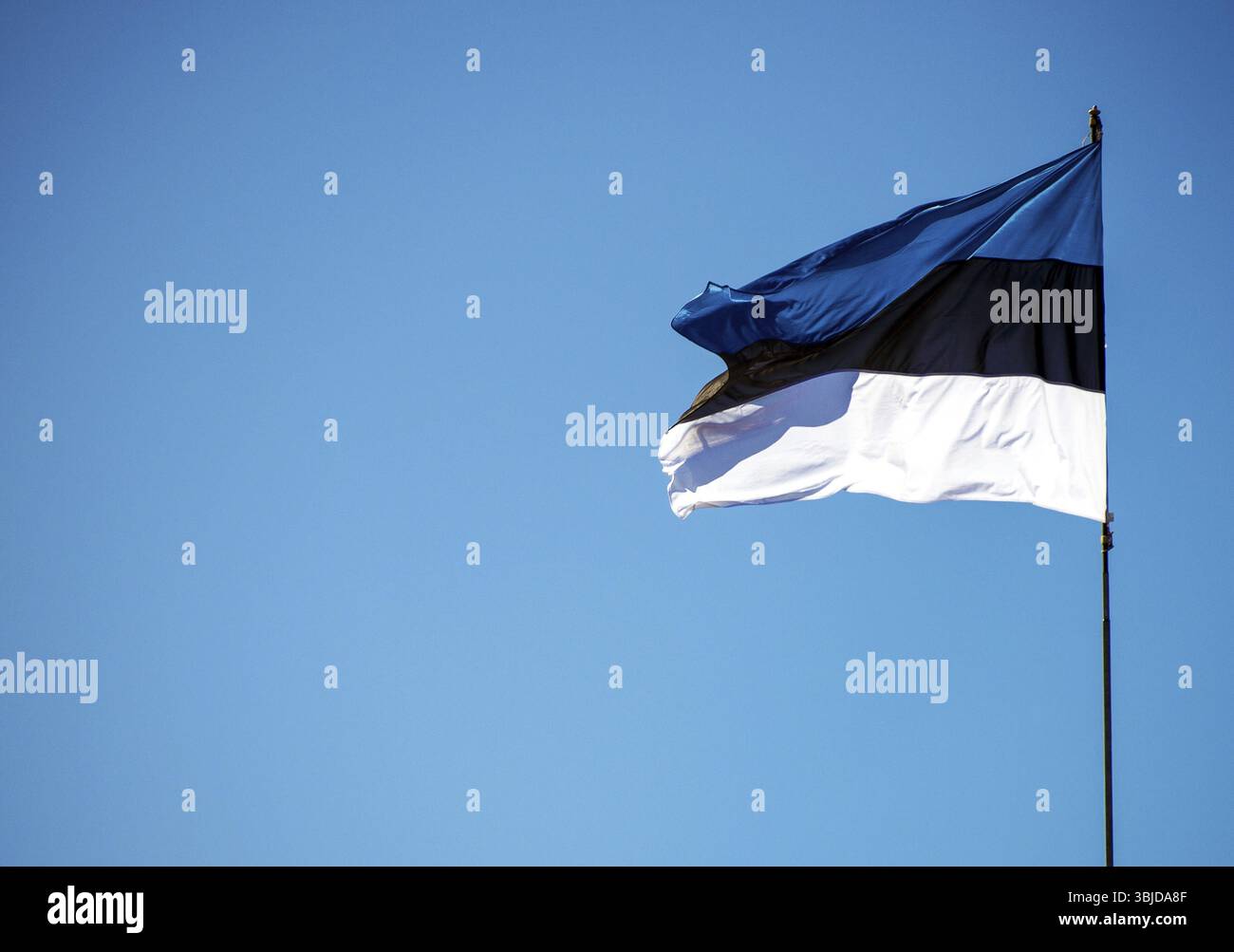 Bandiera estone. Inserire il testo Foto Stock