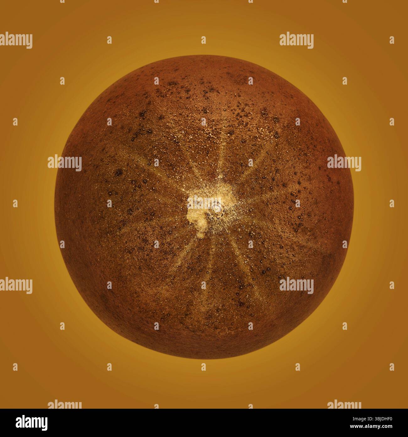 Luo Han Guo, noto anche come Monk Fruit, rimedio naturale su sfondo marrone. Dolcificante potente e sano Foto Stock