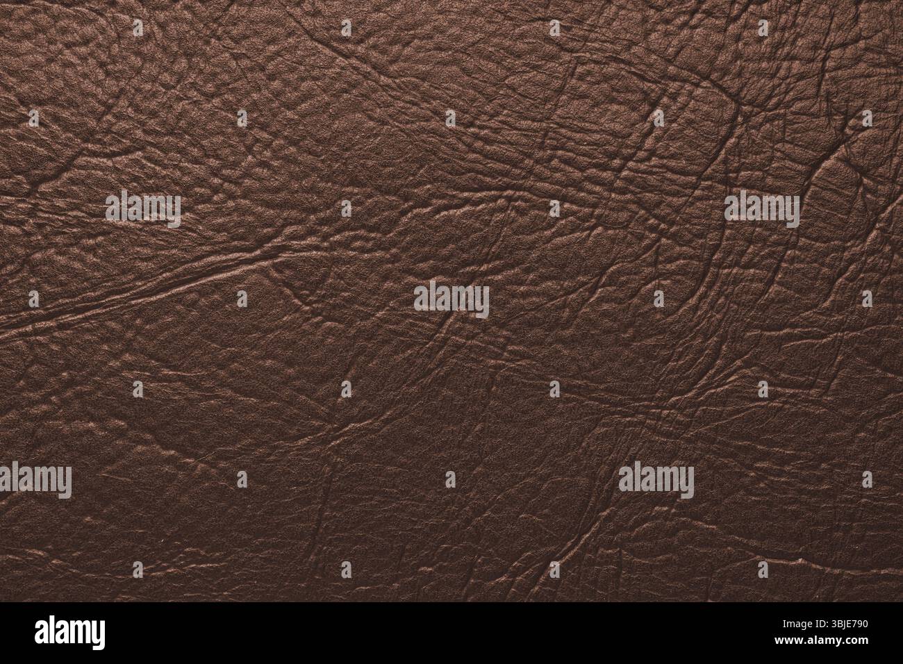 Primo piano, texture macro di vera pelle marrone lucida naturale, struttura in similpelle, superficie della pelle artificiale con motivo in rilievo. Sfondo, muro Foto Stock