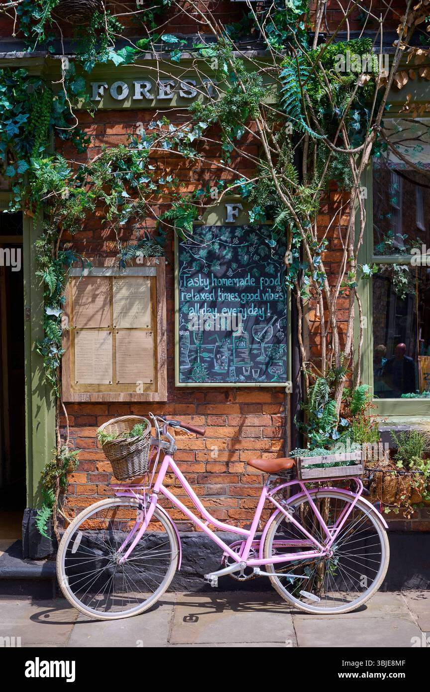 Bicicletta rosa brillante fuori dalla porta del ristorante Forest, Petergate York, Regno Unito Foto Stock