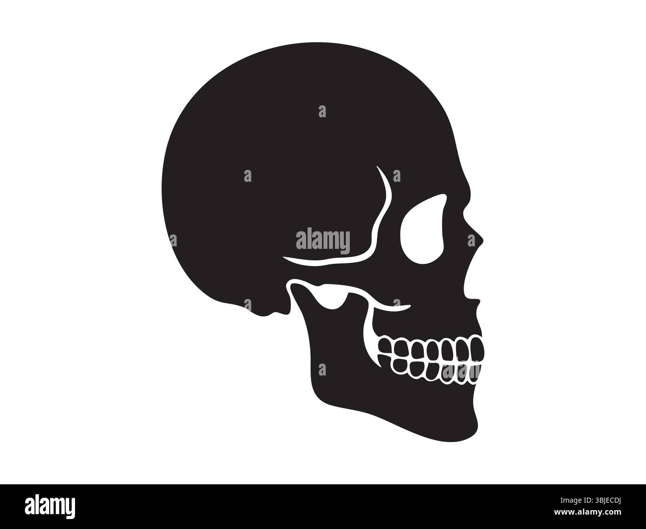 Silhouette nera del cranio umano in vista laterale isolata su sfondo bianco, illustrazione grafica. concetto di anatomia, icona di halloween, arte del cranio, design Illustrazione Vettoriale