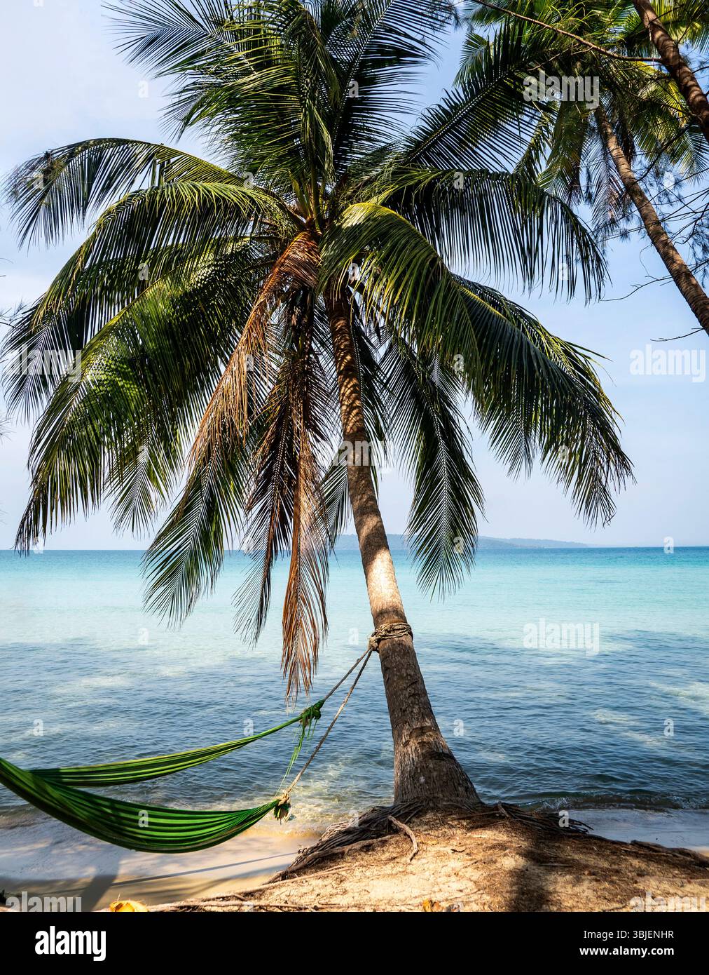 Una tranquilla spiaggia caratterizzata da un'alta palma con rigogliose fronde verdi, un'amaca sospesa tra due alberi e calme acque turchesi nel backgrou Foto Stock