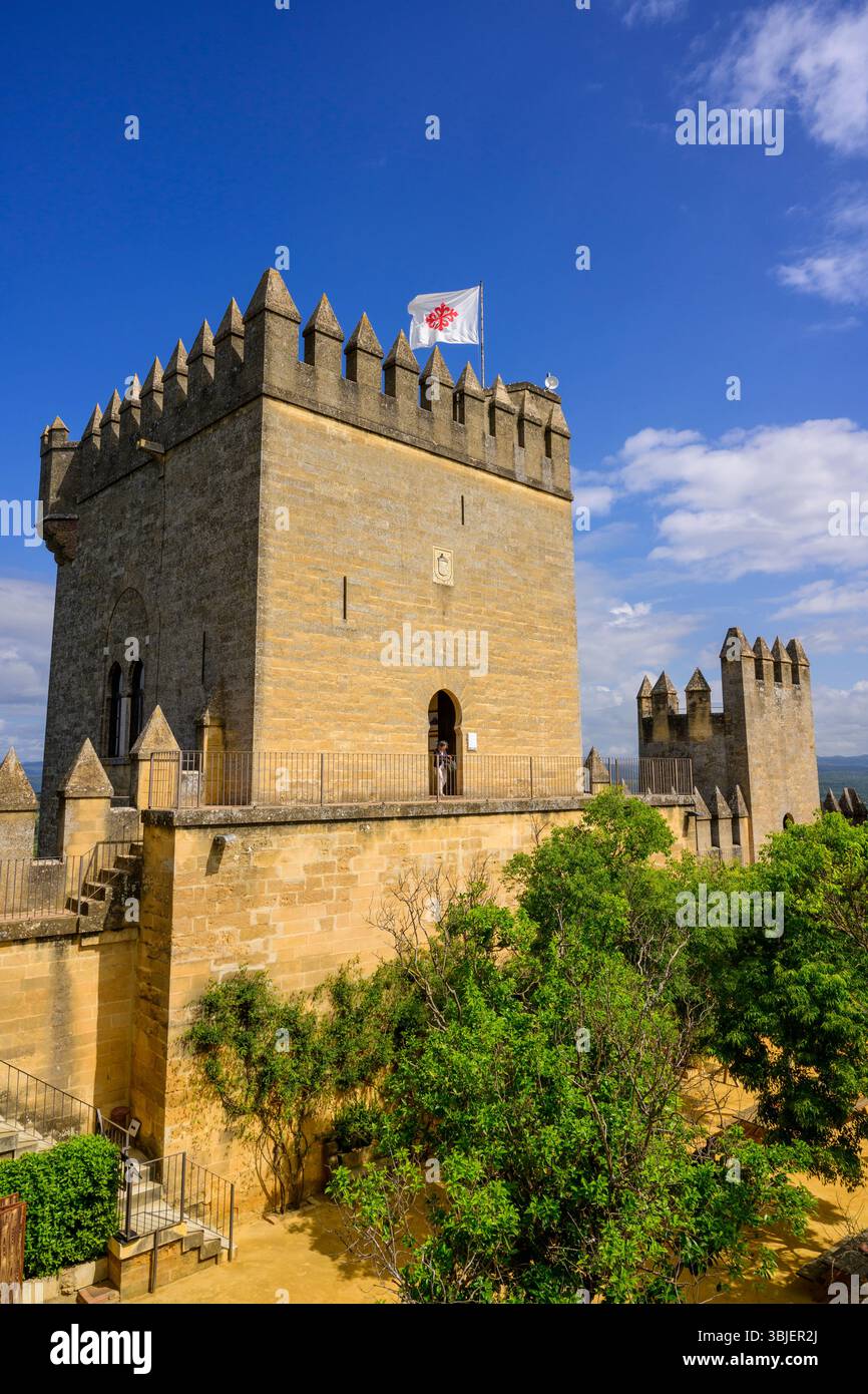 Il castello di Almodóvar del Río, Andalusia, Spagna. Foto Stock