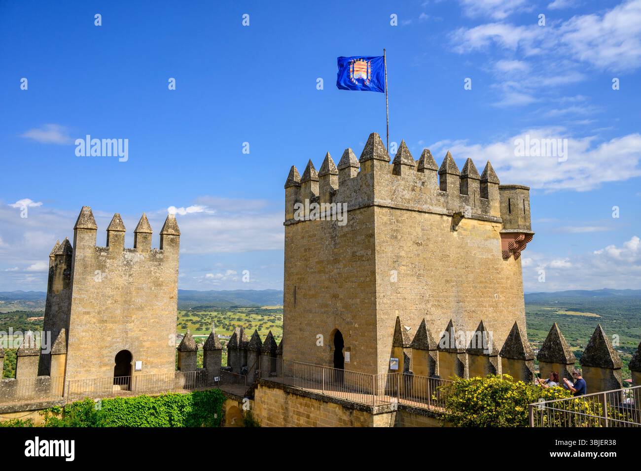 Il castello di Almodóvar del Río, Andalusia, Spagna. Foto Stock