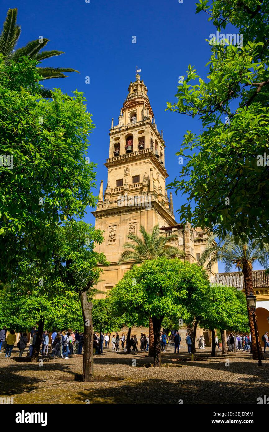 Torre Campanario, Córdoba, Andalusia, Spagna. Foto Stock