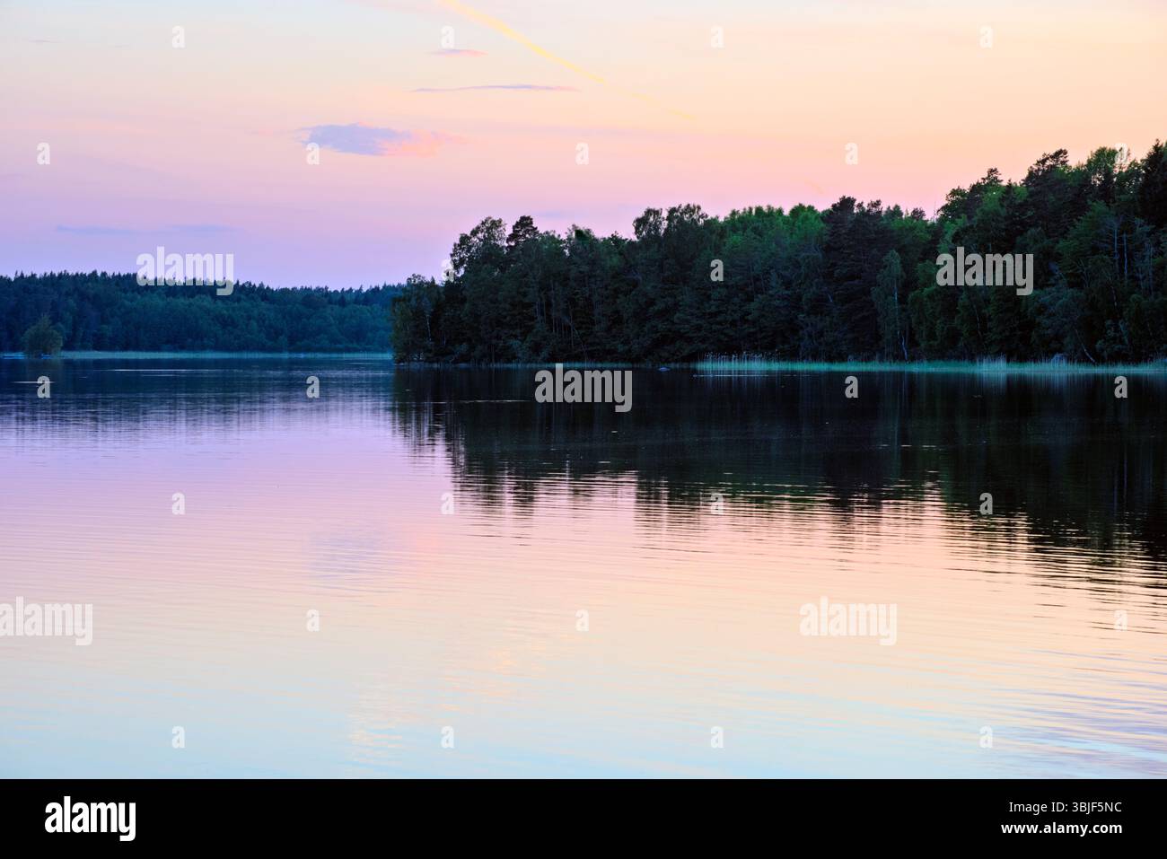 Colori pastello mattutini in riva al mare. Foto Stock
