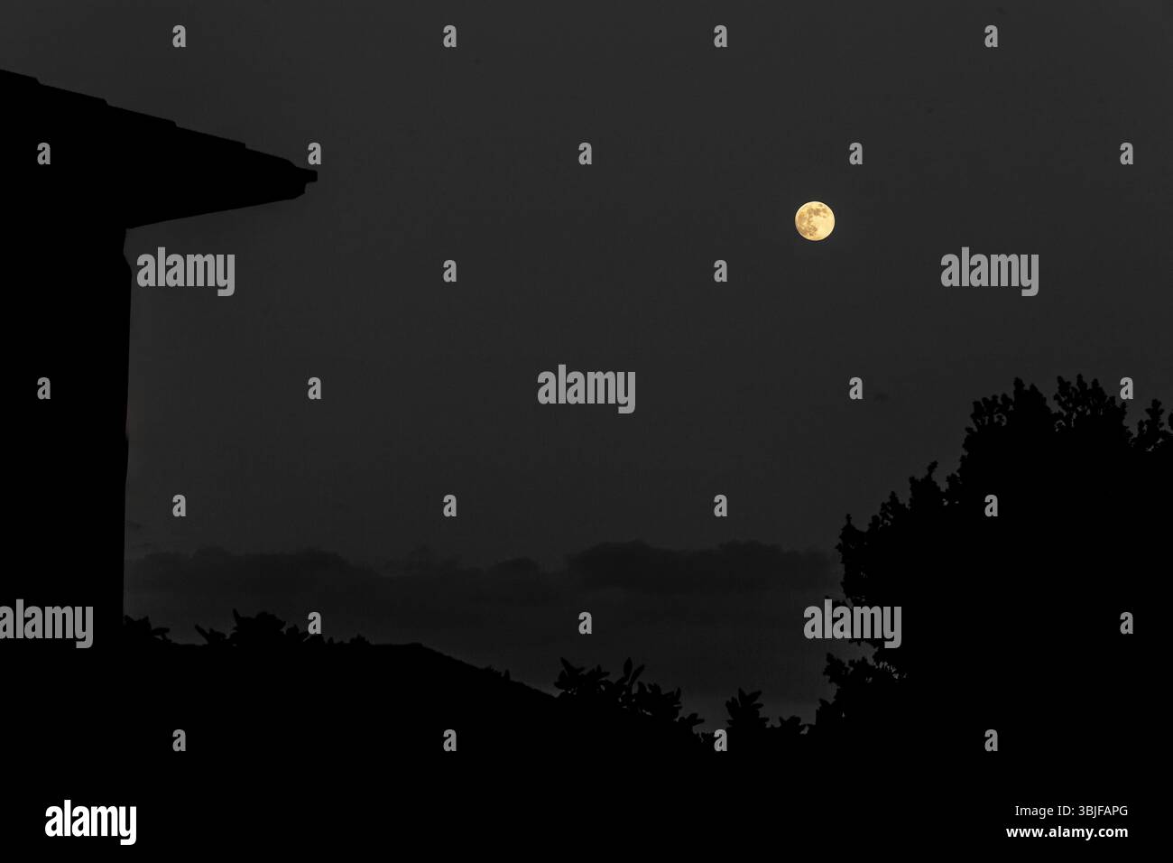 Luna piena luminosa nel cielo scuro sopra tetti sagomati e alberi Foto Stock