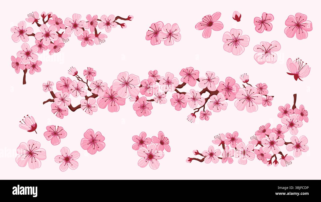 Graziosi ramoscelli e fiori in fiore di ciliegio disegnati a mano, perfetti per decorare superfici, stampe e progetti di artigianato. Un totale di 16 elementi isolati Illustrazione Vettoriale