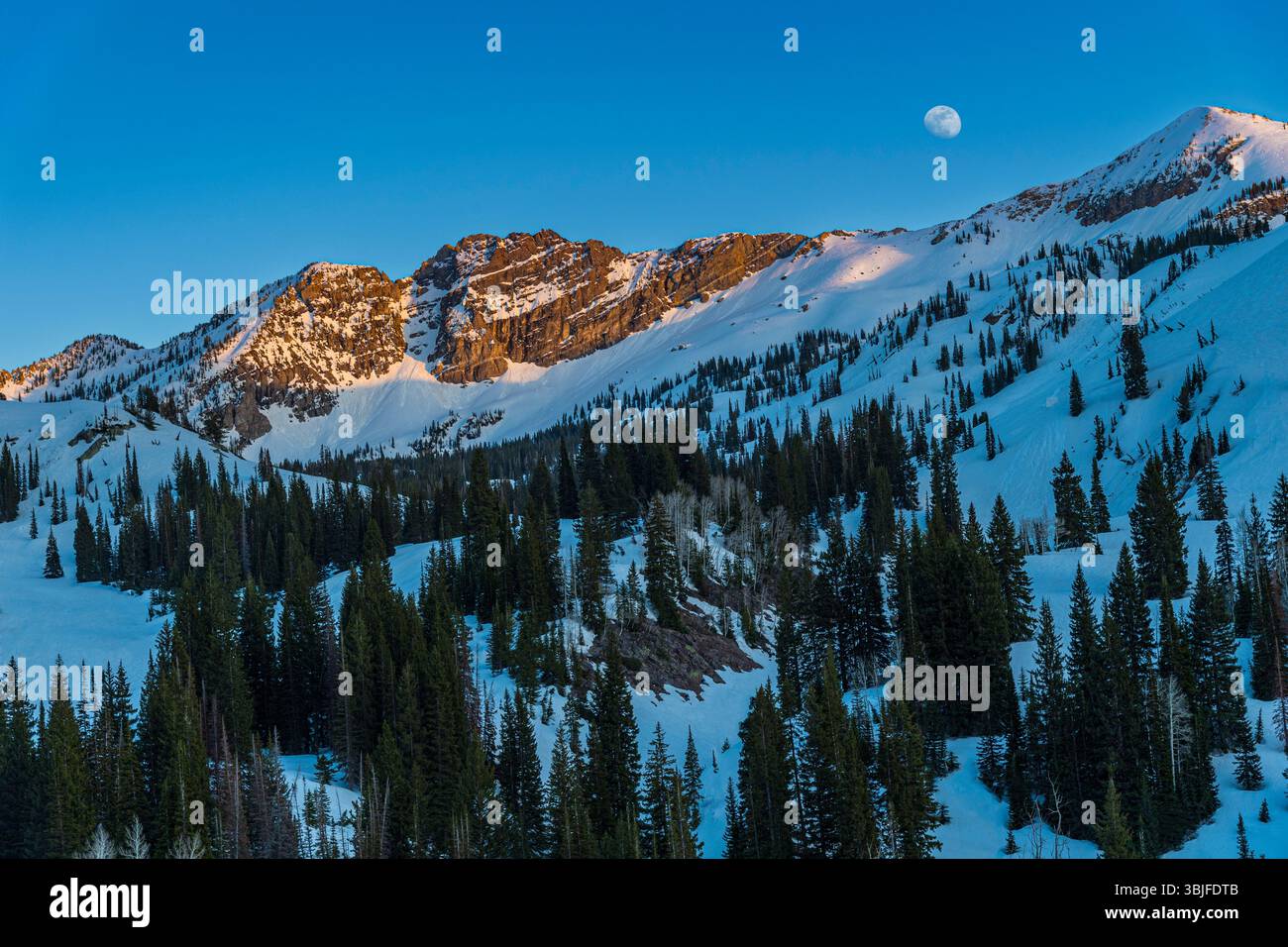 Cime innevate delle Montagne Rocciose americane con luna nel tardo pomeriggio vicino a Salt Lake City, Utah USA Foto Stock