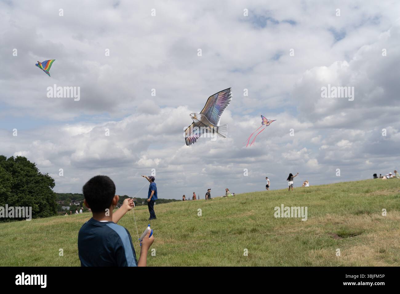 Londra, Regno Unito. 15 giugno 2025. I sostenitori della Palestina fanno volare aquiloni colorati a Parliament Hill a Londra, unendosi in un raduno di solidarietà. L'evento pacifico vede individui e famiglie lanciare aquiloni contrassegnati con simboli palestinesi per esprimere speranza, unità e sostegno emotivo ai bambini palestinesi colpiti dal conflitto. Il raduno evoca la lunga tradizione del kite-fly come simbolo di libertà e resistenza, offrendo un momento di riflessione e di espressione comuni nello spazio verde pubblico. Crediti: Joao Daniel Pereira/Alamy Live News Foto Stock