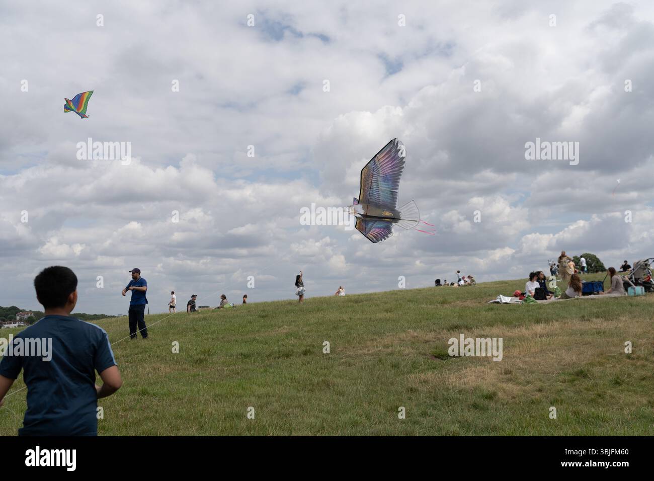 Londra, Regno Unito. 15 giugno 2025. I sostenitori della Palestina fanno volare aquiloni colorati a Parliament Hill a Londra, unendosi in un raduno di solidarietà. L'evento pacifico vede individui e famiglie lanciare aquiloni contrassegnati con simboli palestinesi per esprimere speranza, unità e sostegno emotivo ai bambini palestinesi colpiti dal conflitto. Il raduno evoca la lunga tradizione del kite-fly come simbolo di libertà e resistenza, offrendo un momento di riflessione e di espressione comuni nello spazio verde pubblico. Crediti: Joao Daniel Pereira/Alamy Live News Foto Stock