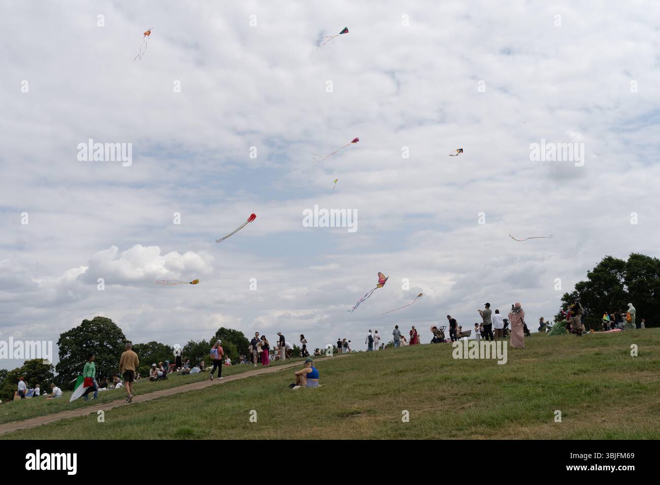 Londra, Regno Unito. 15 giugno 2025. I sostenitori della Palestina fanno volare aquiloni colorati a Parliament Hill a Londra, unendosi in un raduno di solidarietà. L'evento pacifico vede individui e famiglie lanciare aquiloni contrassegnati con simboli palestinesi per esprimere speranza, unità e sostegno emotivo ai bambini palestinesi colpiti dal conflitto. Il raduno evoca la lunga tradizione del kite-fly come simbolo di libertà e resistenza, offrendo un momento di riflessione e di espressione comuni nello spazio verde pubblico. Crediti: Joao Daniel Pereira/Alamy Live News Foto Stock