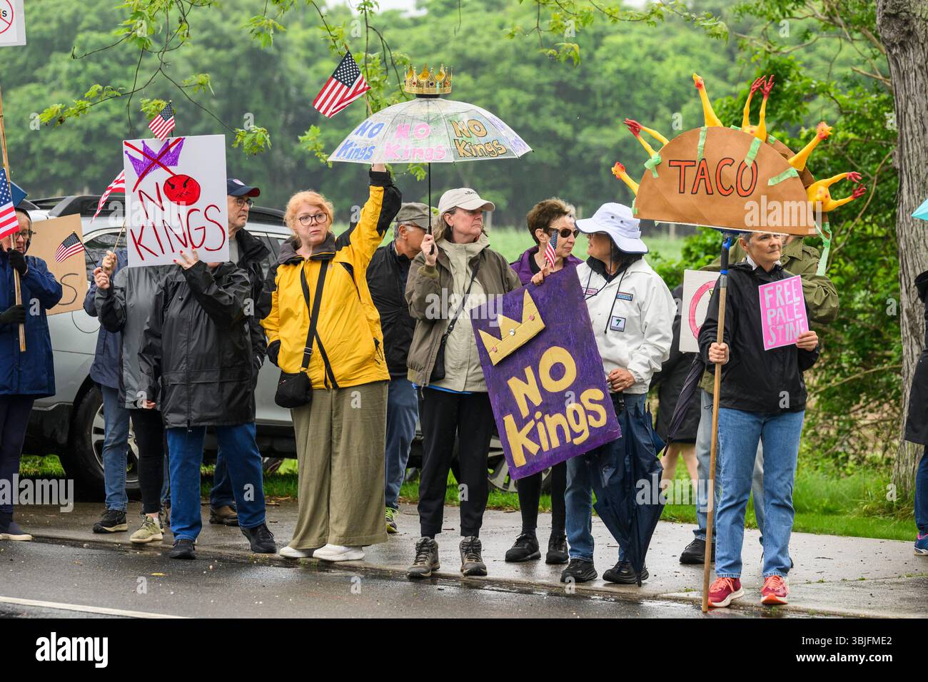 Partecipanti a una protesta del "No Kings" Day tenutasi di fronte all'East Hampton Town Hall a East Hampton, il 14 giugno 2025. La protesta faceva parte di una giornata nazionale di azione contro il presidente Donald Trump e le sue politiche. Gordon M. Grant/Alamy Foto Stock
