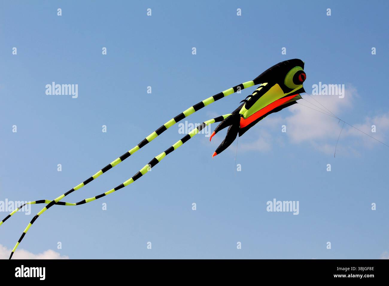 Il grande aquilone a forma di pesce con sorprendenti motivi gialli, verdi e neri e lunghe code a strisce si innalza contro un cielo azzurro cristallino, catturando la gioia dell'esterno Foto Stock