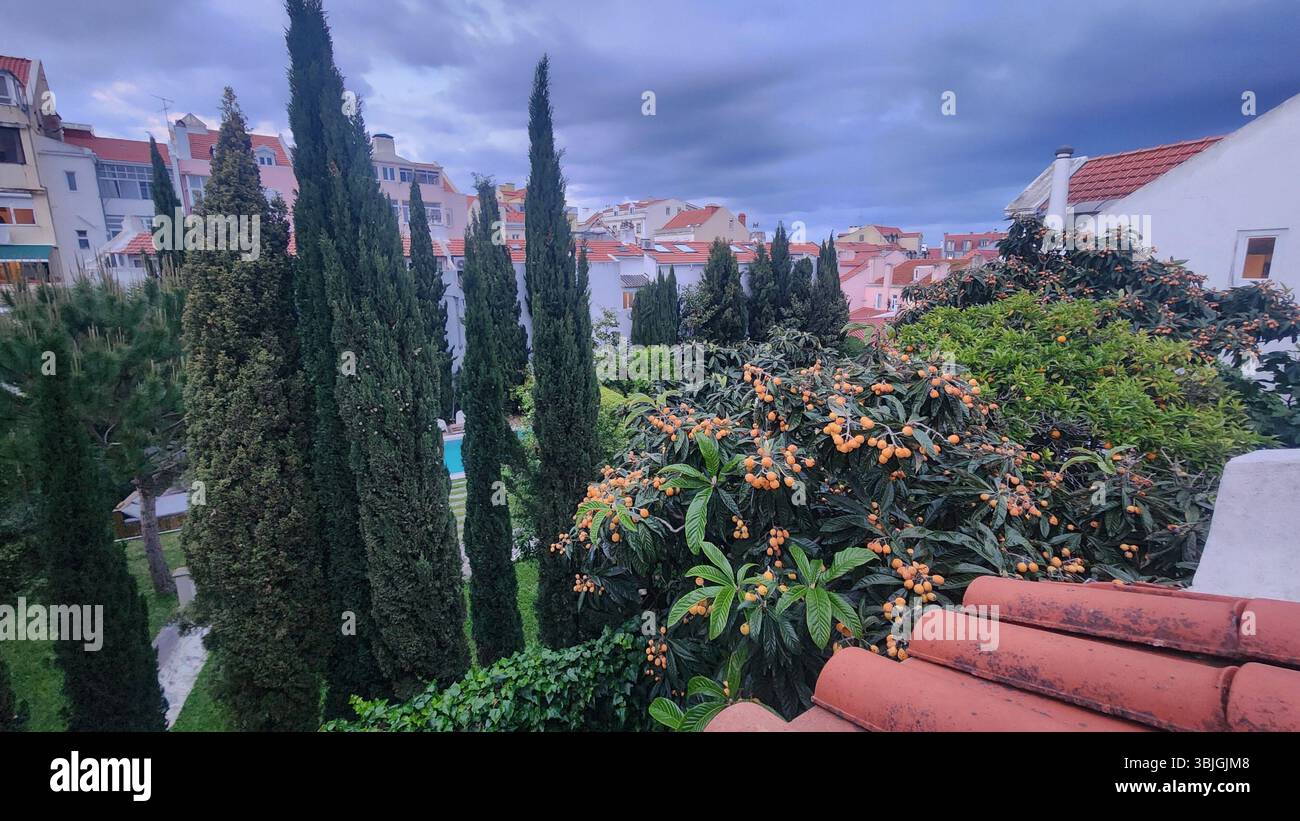 Lisbona Portogallo - Distretto di Alfama Foto Stock