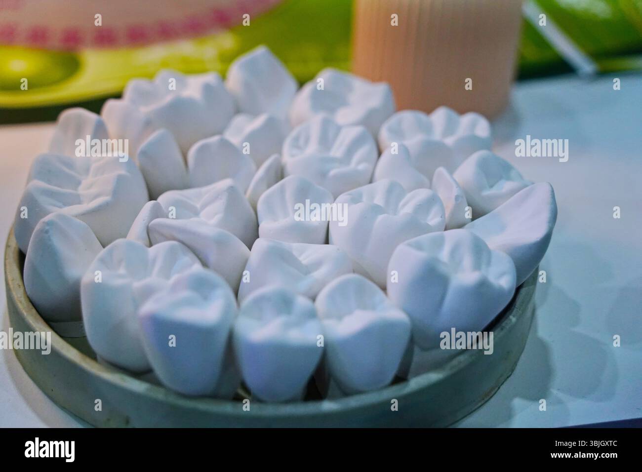 Modelli di diversi tipi di denti. Foto Stock