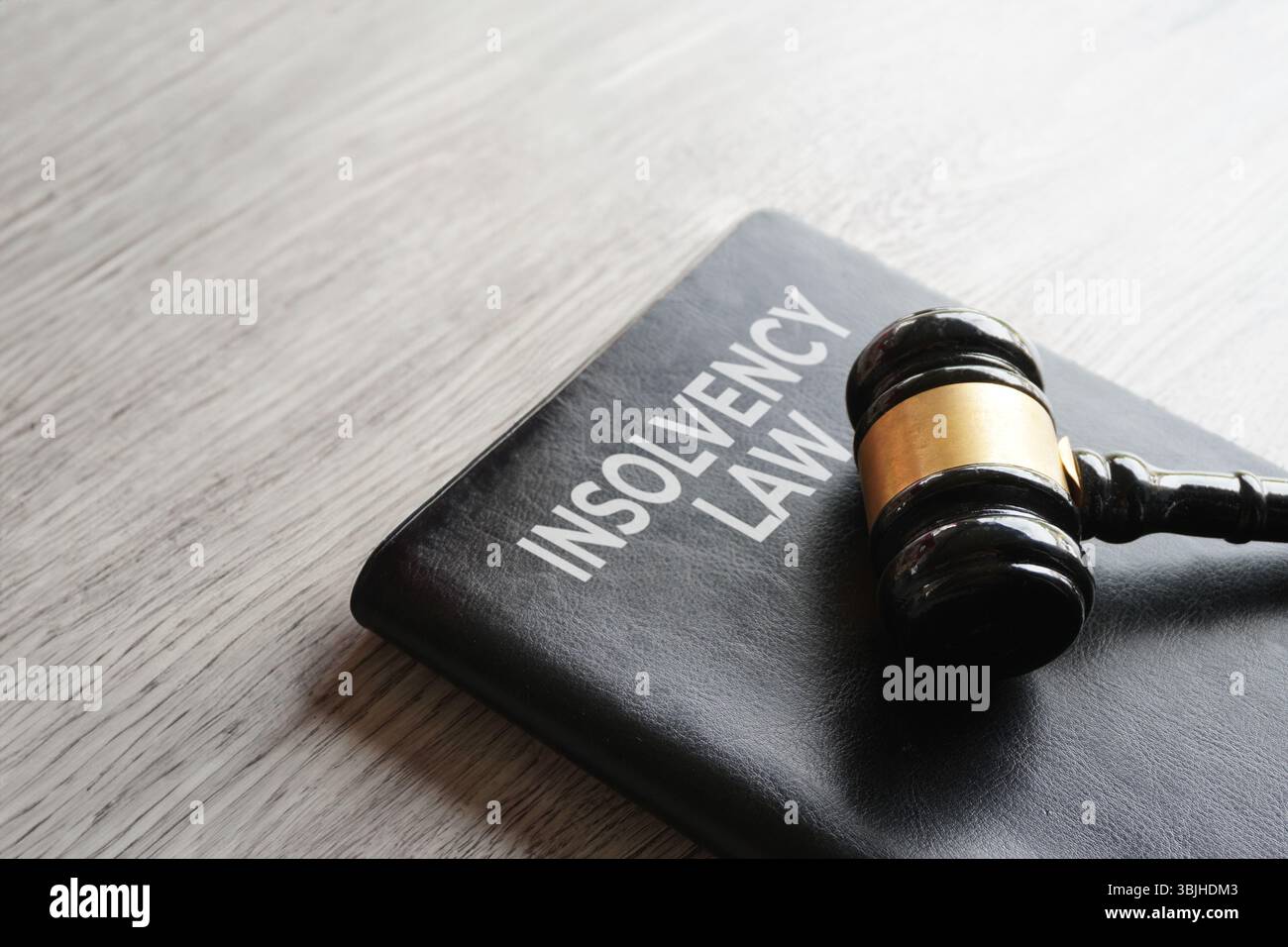 Il martelletto di un giudice su un libro intitolato "LEGGE SULL'INSOLVENZA". Procedure legali, regolamenti finanziari e concetto di fallimento. Foto Stock