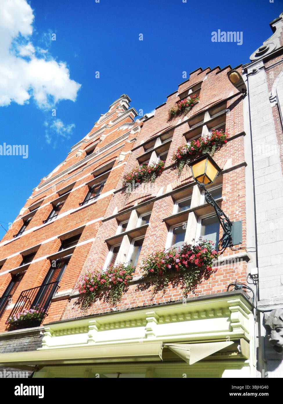 Facciata in mattoni con Flower Boxes e Clear Blue Sky. Mechelen, Belgio Foto Stock