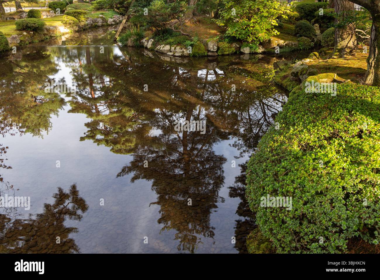 L'acqua limpida dello stagno riflette pini, arbusti e cielo in un giardino giapponese, creando un tranquillo equilibrio di verde, consistenza e luce naturale Foto Stock