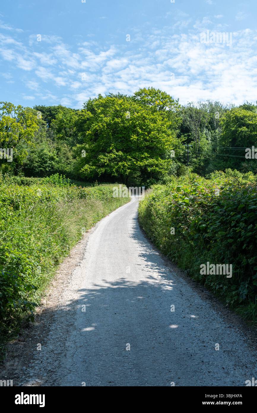 Vista sul sentiero nazionale South Downs Way vicino a Buriton, Hampshire, Inghilterra, Regno Unito, in una giornata estiva di sole Foto Stock