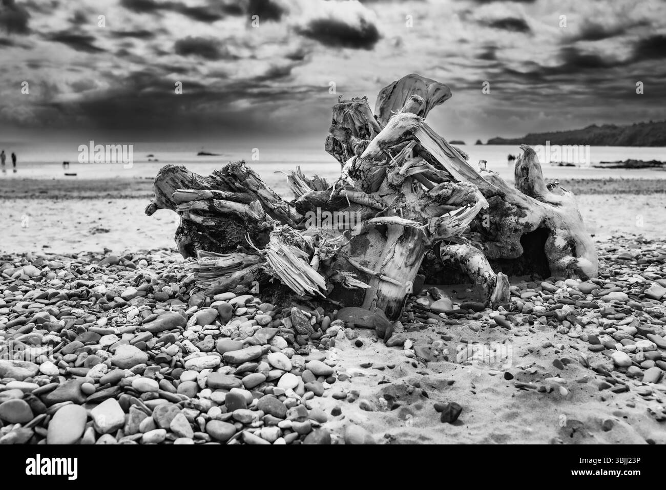 Tenby Harbour è un porto pittoresco e popolare situato nel cuore dell'affascinante cittadina balneare di Tenby, Pembrokeshire, Galles Foto Stock