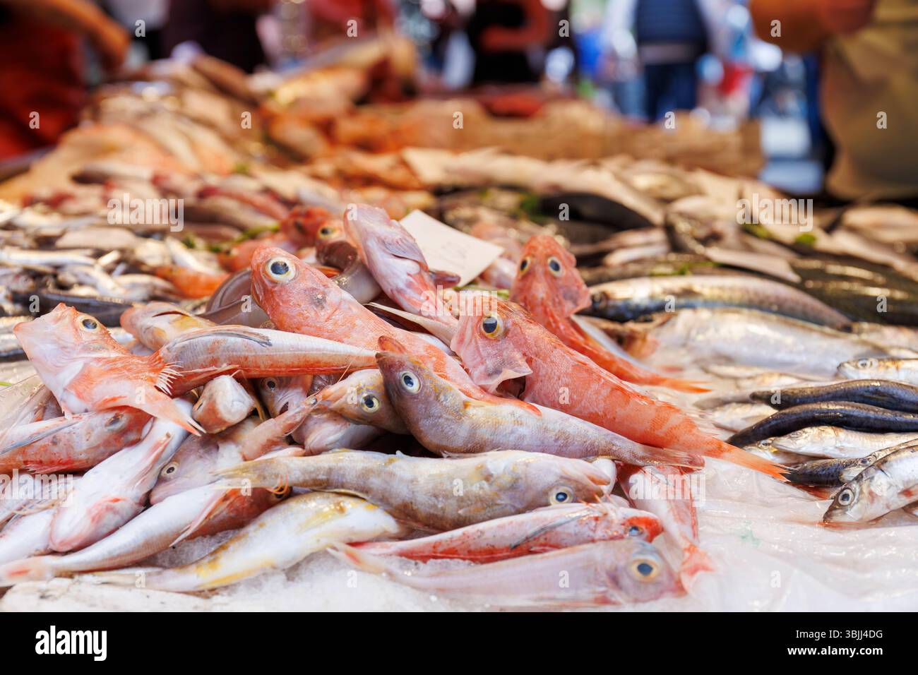 Primo piano di una bancarella di pesce al mercato del pesce di Catania, in Sicilia Foto Stock