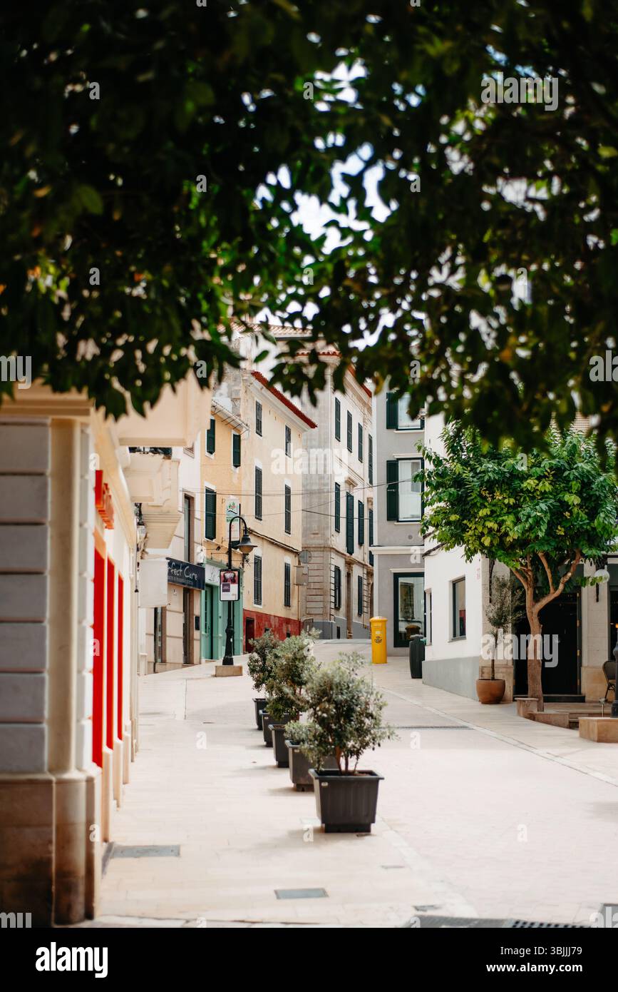 Via pedonale vuota incorniciata da alberi a Mahon, Minorca Foto Stock