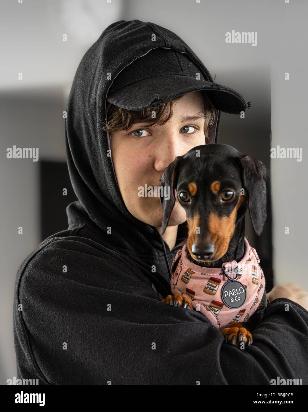 Un uomo tiene in braccio un nero in miniatura e un tano Dachshund. Il cane indossa un'imbracatura rosa e bianca con il logo delle arachidi. Una scena di lov Foto Stock