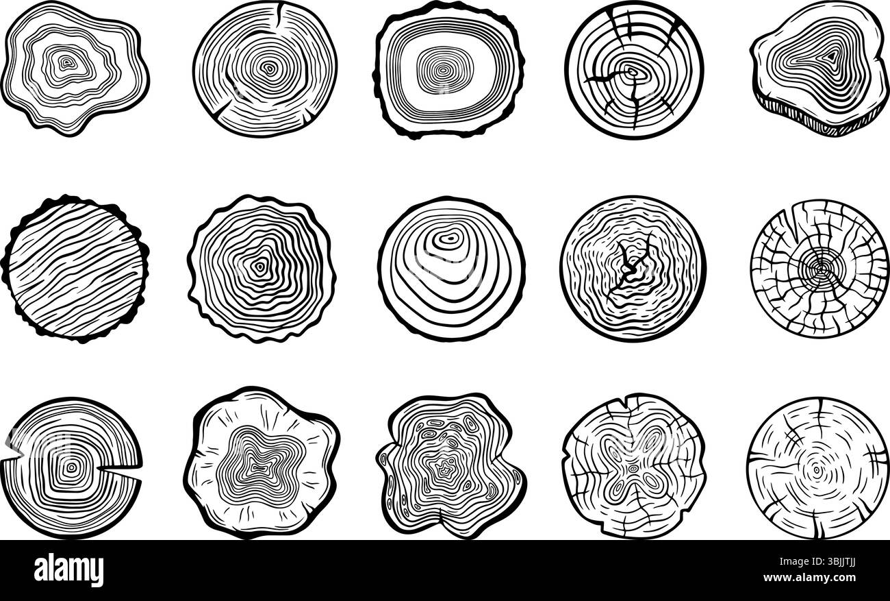 Cerchi ad albero. Fette di legno con anelli, tagliando legni. Trame di legno naturale in forme circolari. Tronchi di alberi materiali, set vettoriale di doodle neoterico Illustrazione Vettoriale