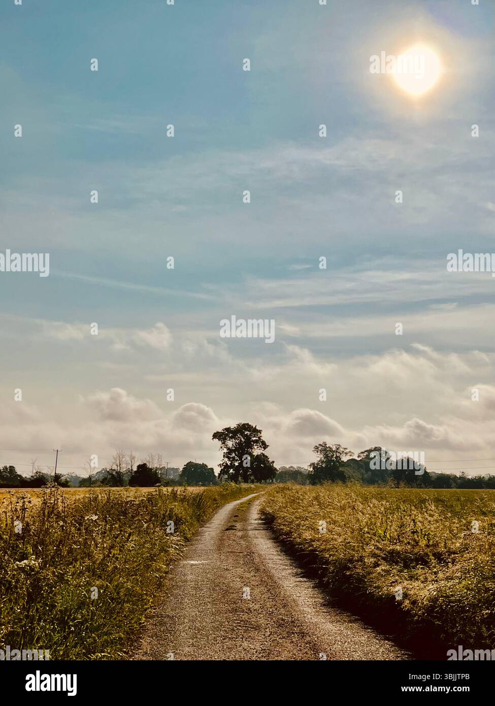 Un tipico rurale di strada a Thornham Magna, Suffolk, Inghilterra orientale, Regno Unito - Immagine stock catturata con smartphone