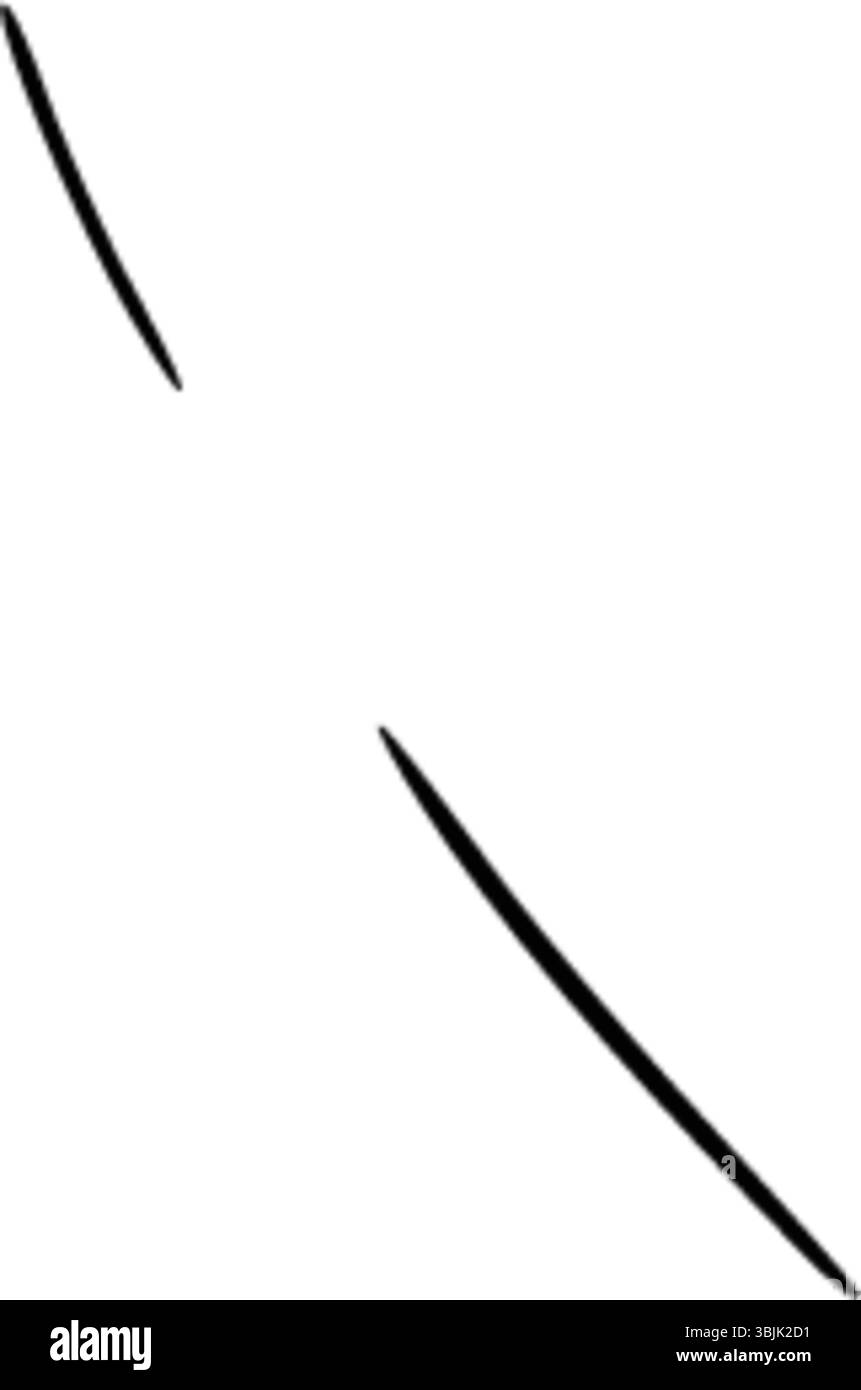 Immagine vettoriale della cornice a nastro con arco in stile inchiostro nero. Disegno del bordo per biglietti d'auguri o inviti di nozze per una doccia per bambini. Modello inciso per imballaggi stazionari o vintage. Illustrazione Vettoriale