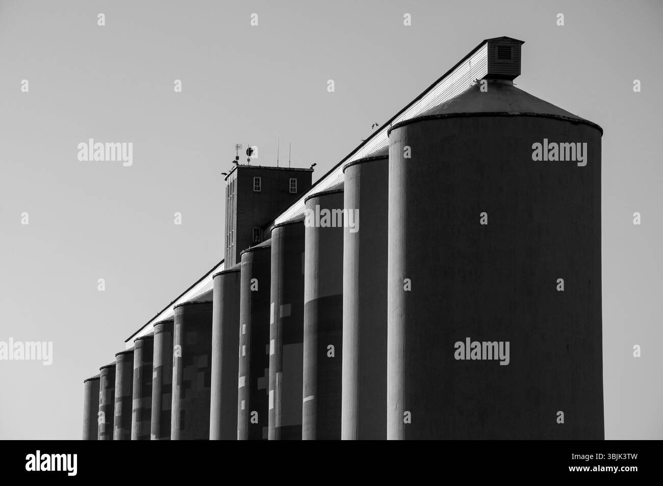 Una fotografia in bianco e nero di un silo di grana. I silos sono generalmente utilizzati per lo stoccaggio di cereali sfusi. Foto Stock