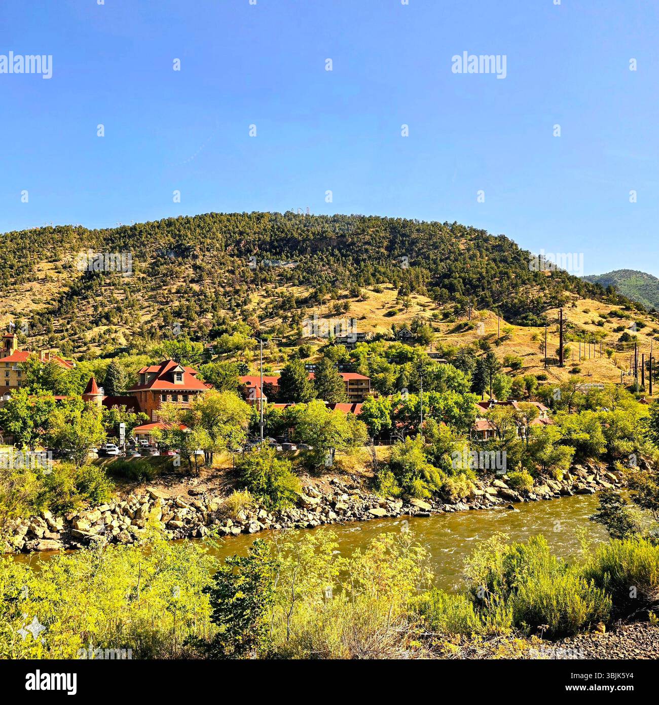 Sentiero nella foresta di pini che attraversa un'aspra valle di montagna in Colorado, con una leggera luce estiva che filtra attraverso densi sempreverdi. - Immagine stock catturata con smartphone