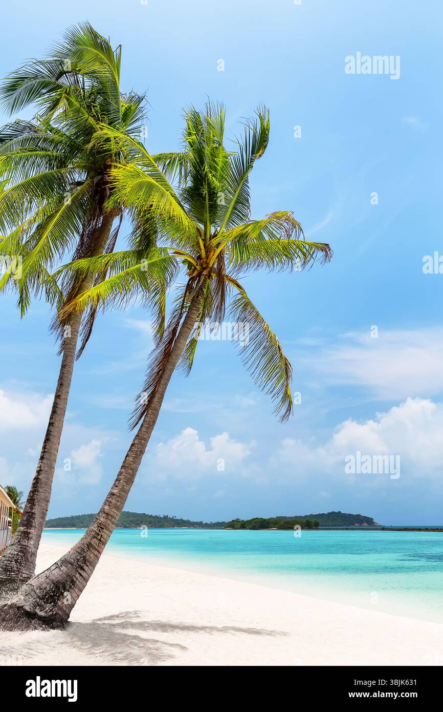 Giornata di sole nella splendida spiaggia di Chaweng, con palme da cocco e acqua turchese a Koh Samui, Thailandia. Spiaggia estiva per le vacanze. Foto Stock