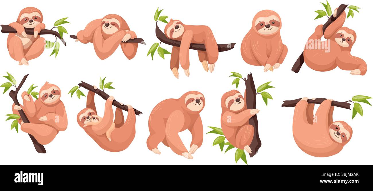 Bradipi dei cartoni animati. Adorabili animali pigri che dormono sull'albero, mamma con il bambino arrampicata o ramo sospeso nella giungla amazzonica gli adorabili animali mettono in posa il volto sonnolento e felice, illustrano in modo ordinato le opere d'arte originali Illustrazione Vettoriale