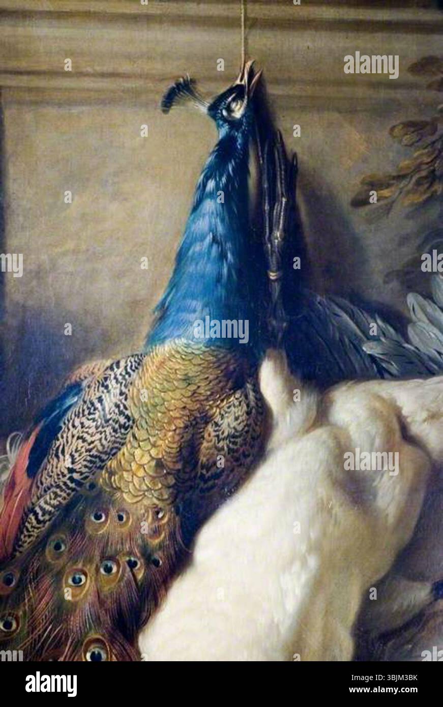 Coleman, Edward; Dead Game; Birmingham Museums Trust; http://www.artuk.org/artworks/dead-game-33473 Foto Stock Coleman, Edward; Dead Game; Birmingham Museums Trust; http://www.artuk.org/artworks/dead-game-33473 Foto Stock