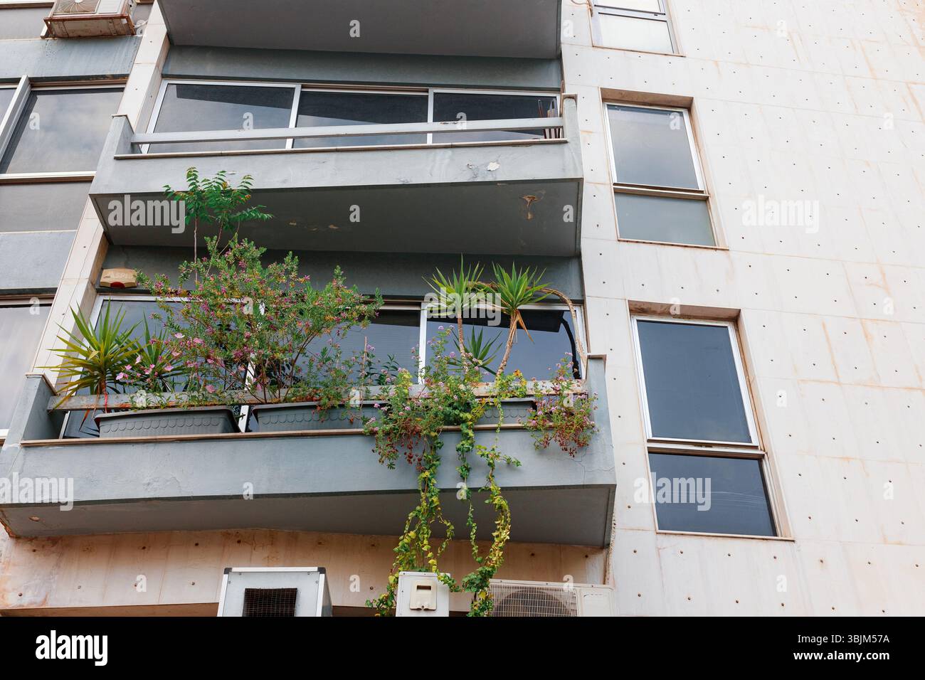 Balcone urbano con lussureggianti piante mediterranee in scatole di fioriere in cemento. Foto Stock