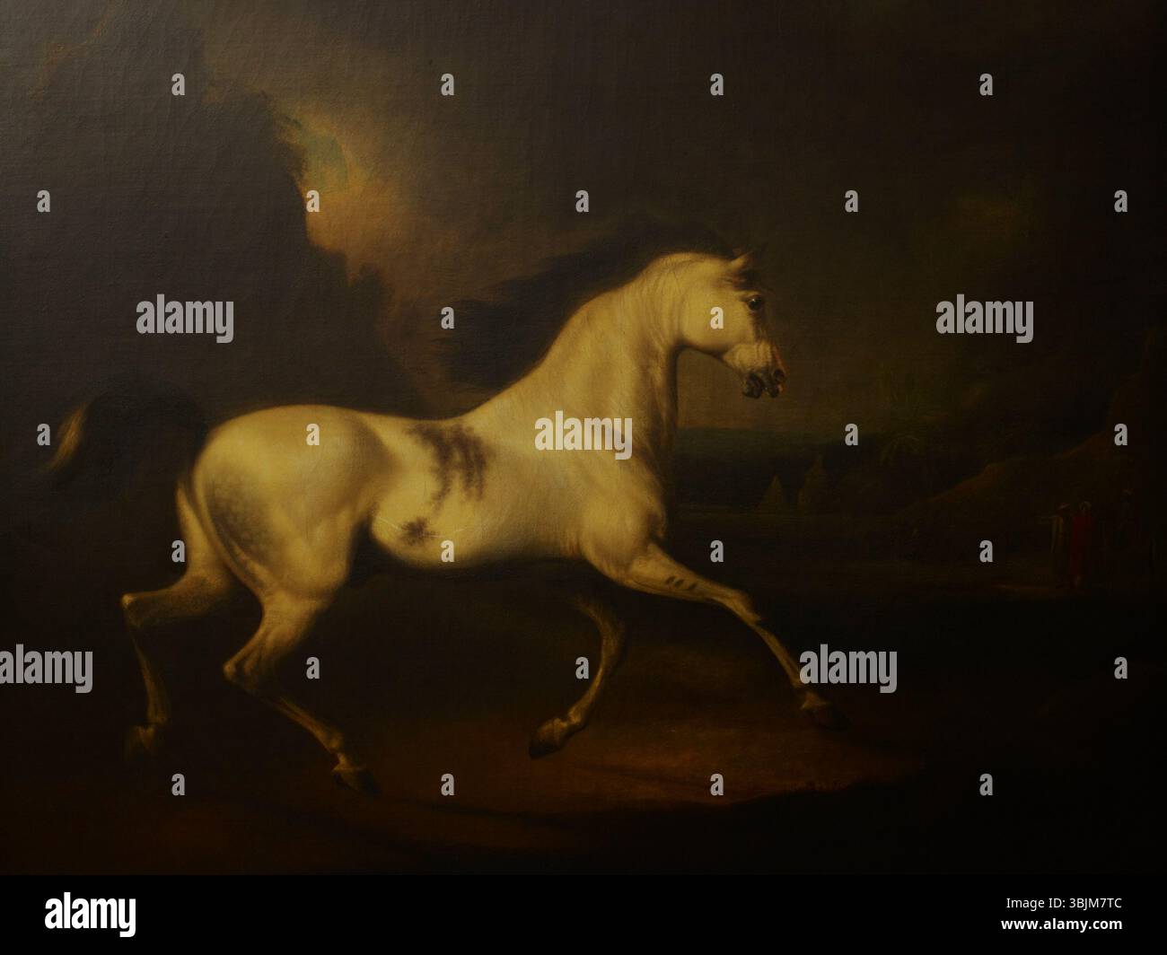 Questo dipinto ad olio su tela del 1814 di Charles Henry Schwanfelder raffigura il Malcolm Arabian, un cavallo di razza araba. L'opera si concentra sulle caratteristiche fisiche del cavallo, riflettendo le tradizioni di ritrattistica equina dei primi anni del XIX secolo. Foto Stock