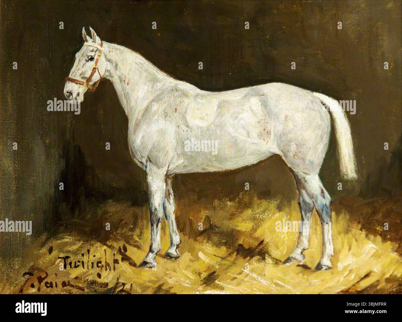 Pain, George Richard; A Grey Mare, "Twilight"; National Trust, Lytes Cary Manor; http://www.artuk.org/artworks/a-grey-mare-twilight-101449 Foto Stock