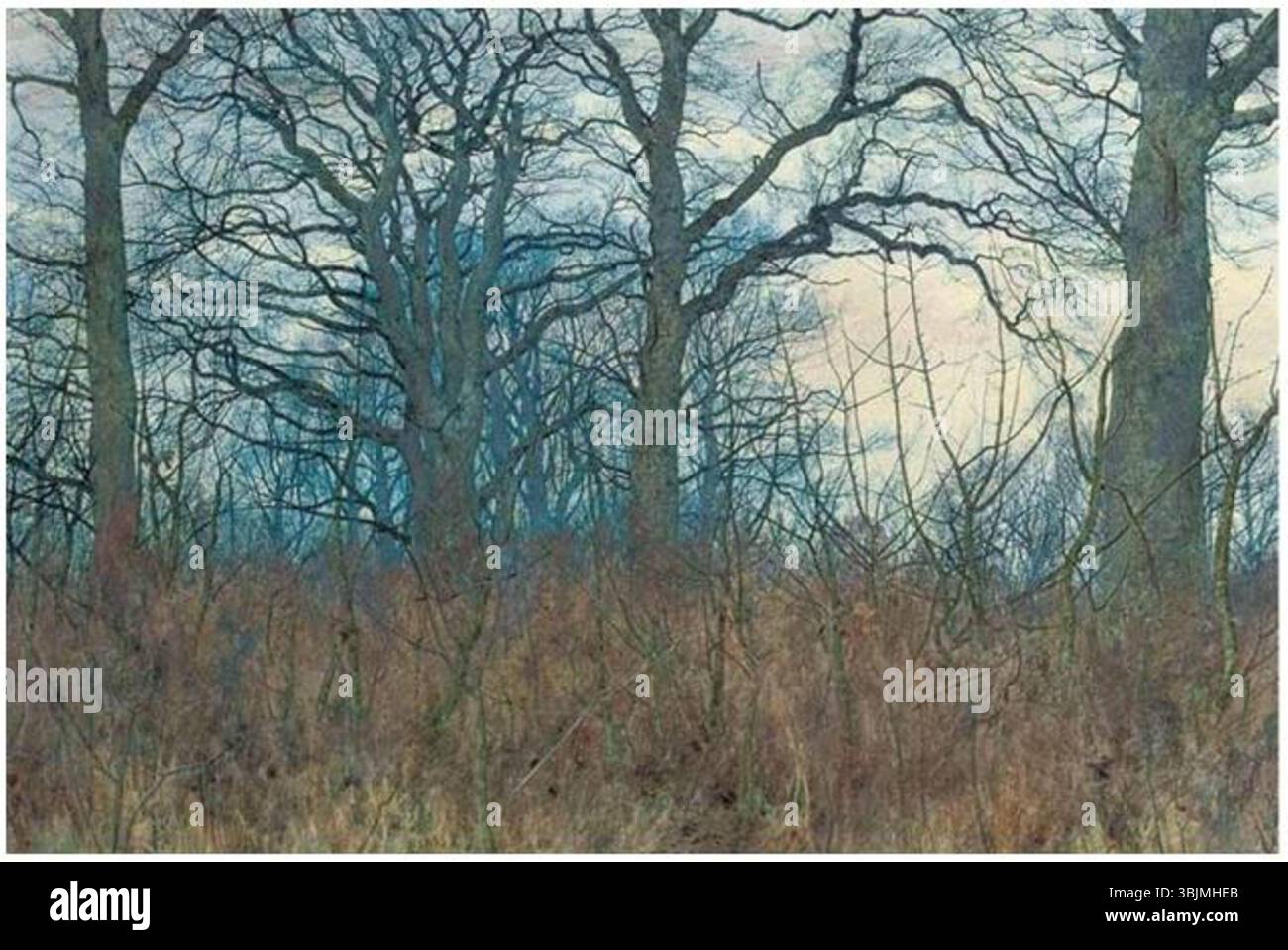 In questo dipinto del 1885, William Fraser Garden usa matita e acquerello per catturare l'atmosfera di una scena boschiva al crepuscolo. La luce si affievolisce e le ombre degli alberi creano un'atmosfera tranquilla e serena. Foto Stock