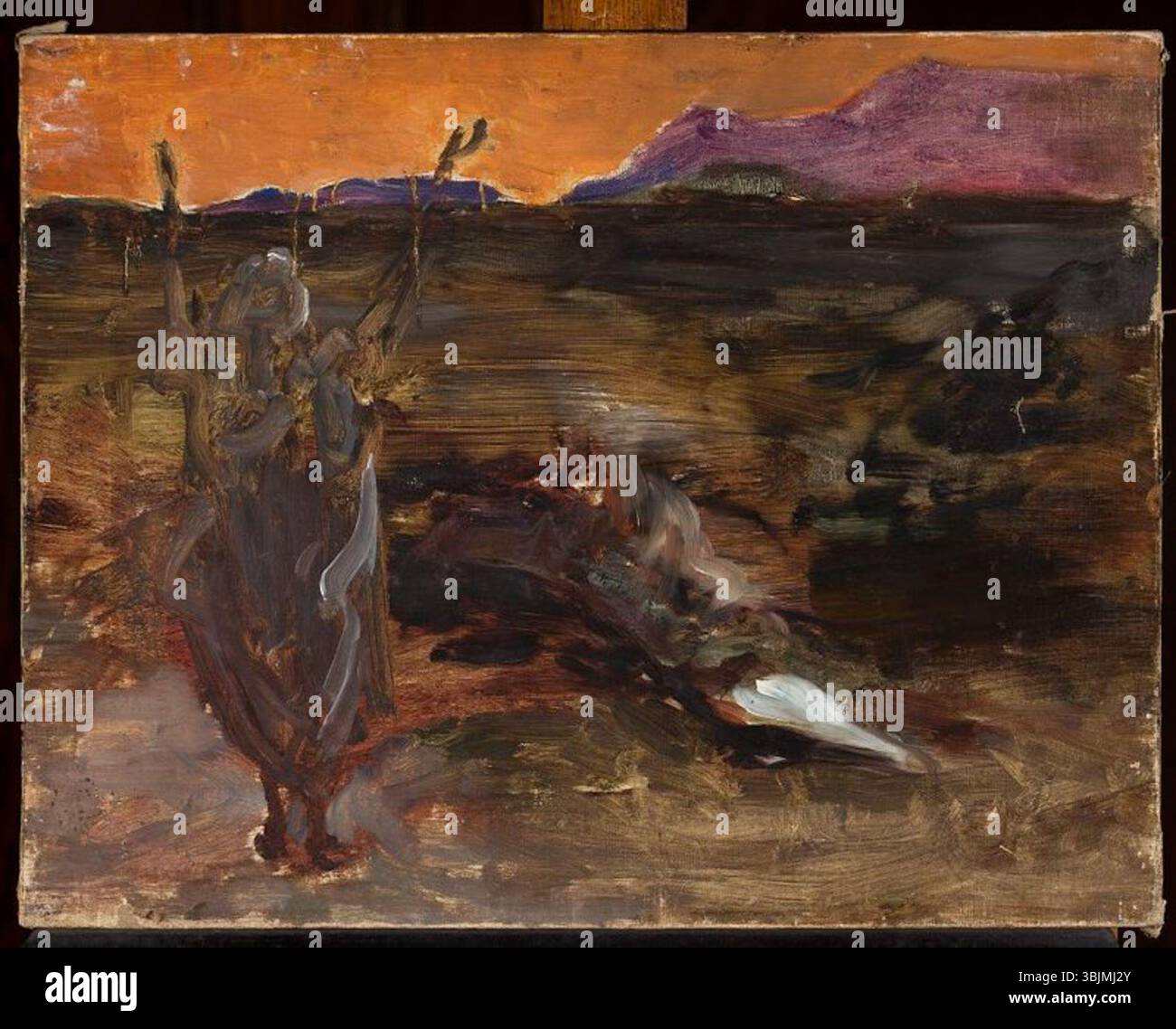 Muzeum Narodowe W Warszawie ;;fot. Foto Stock