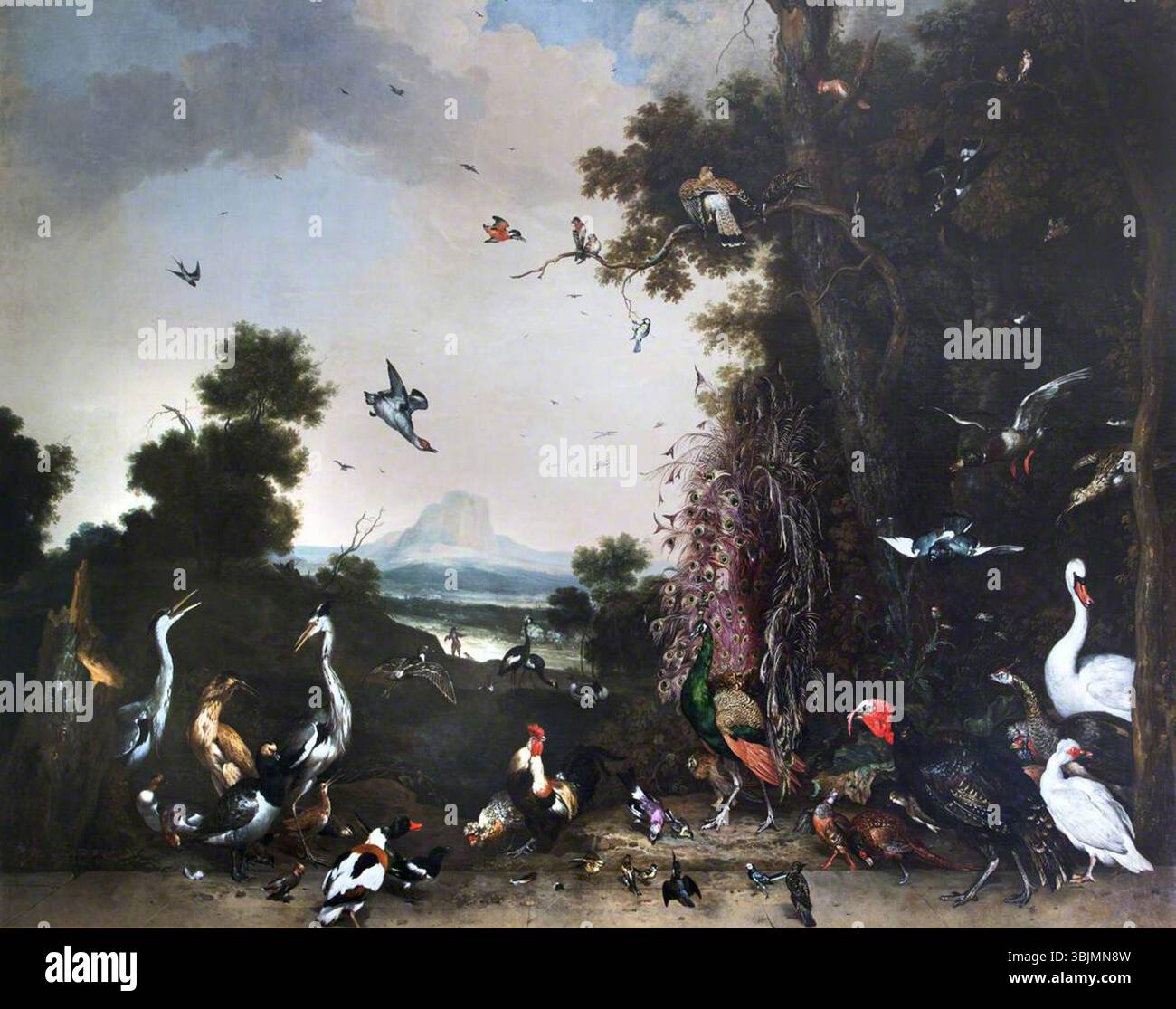 De Hondecoeter, Melchior; paesaggio aperto con pollame e uccelli acquatici; National Trust, Belton House; http://www.artuk.org/artworks/open-landscape-with-poultry-and-waterfowl-176313 Foto Stock De Hondecoeter, Melchior; paesaggio aperto con pollame e uccelli acquatici; National Trust, Belton House; http://www.artuk.org/artworks/open-landscape-with-poultry-and-waterfowl-176313 Foto Stock