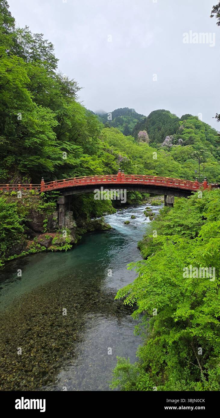 Scalini verdi che conducono alla pace - Immagine stock catturata con smartphone