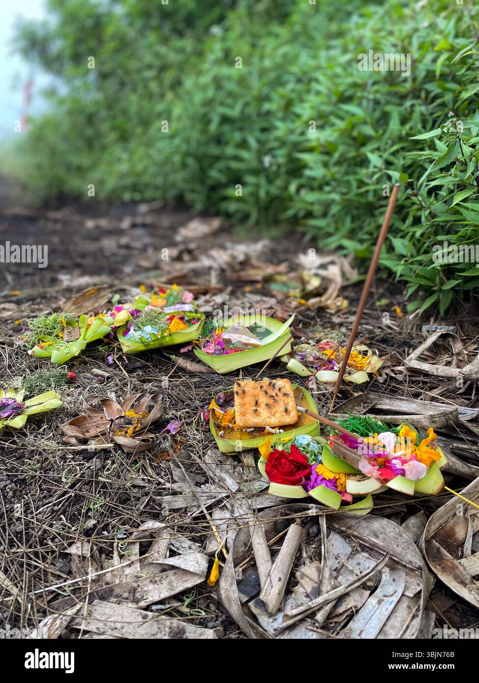 I fedeli indù mettono nella foresta offerte tradizionali che contengono lungo il percorso della piantagione degli abitanti come espressione di gratitudine Foto Stock