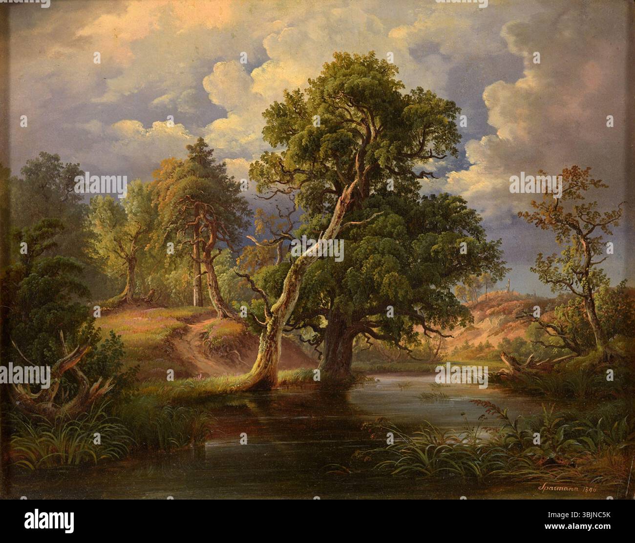 "Die alte Eiche" (la vecchia quercia) di Carl Christian Sparmann (1805-1864) è un dipinto ad olio del 1846, raffigurante un antico albero di quercia in un ambiente naturale. Il pezzo cattura la grandezza e l'età dell'albero, enfatizzando il suo rapporto con il paesaggio circostante. Foto Stock