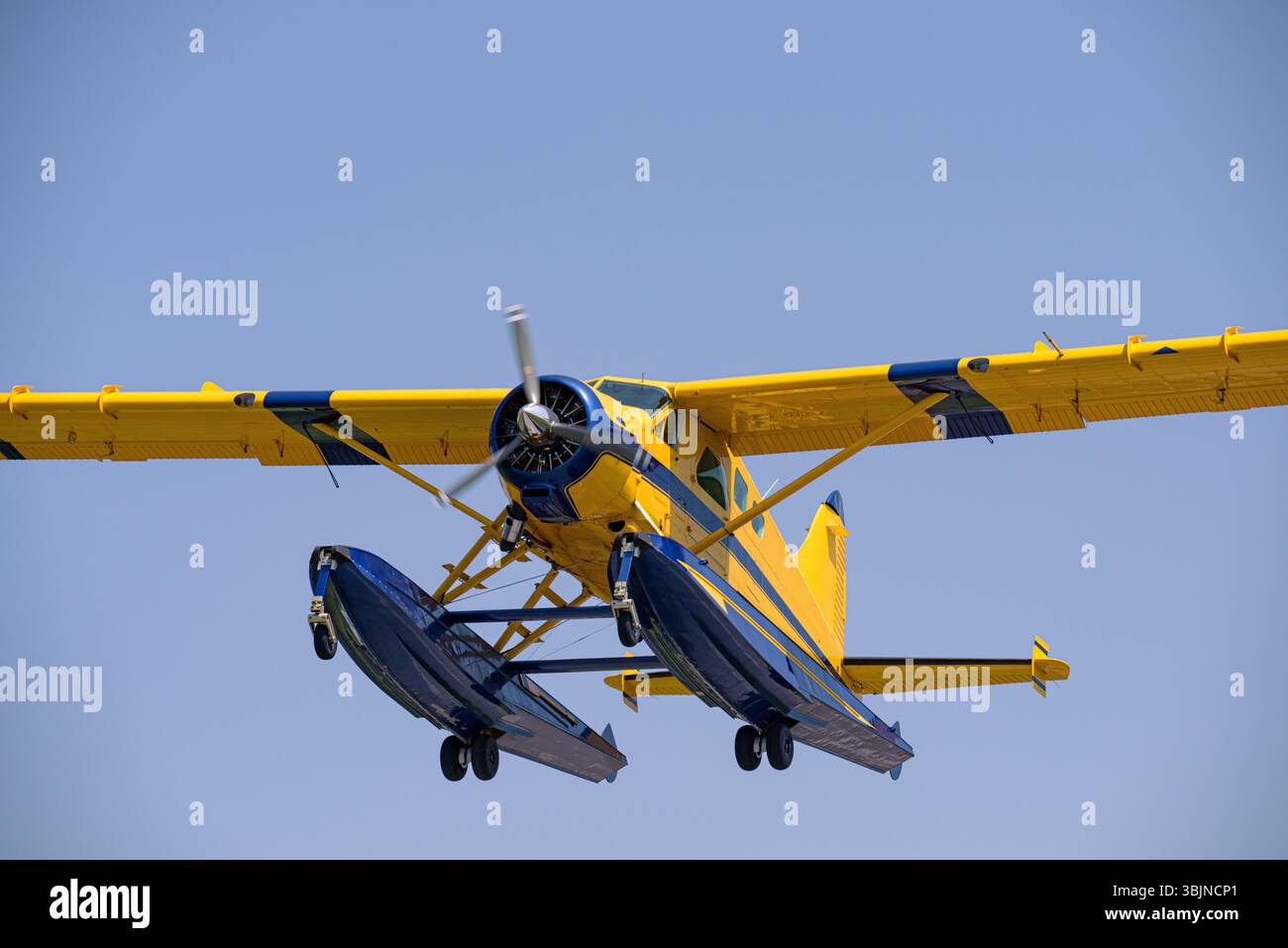 Idrovolante giallo e blu in volo contro un cielo azzurro. Aereo Bush che vola sopra la natura selvaggia, viaggi avventurosi. Foto Stock