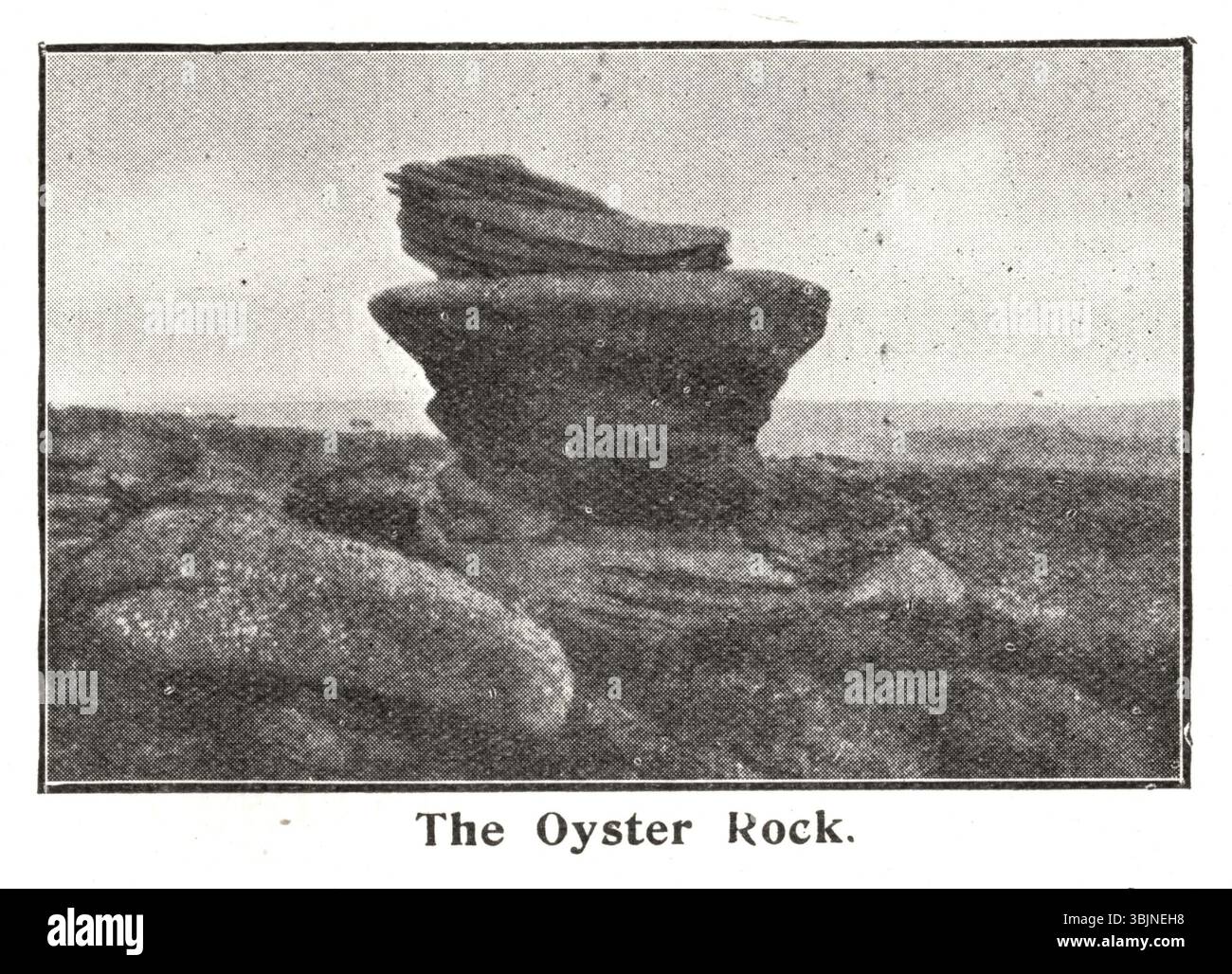 Un'immagine tratta dalla guida del 1920 per Brimham Rocks nel North Yorkshire, Inghilterra, di Herbert W. Ogle. Rappresenta le formazioni rocciose uniche del sito, tra cui l'Oyster Shell, catturando la bellezza naturale della zona. Foto Stock