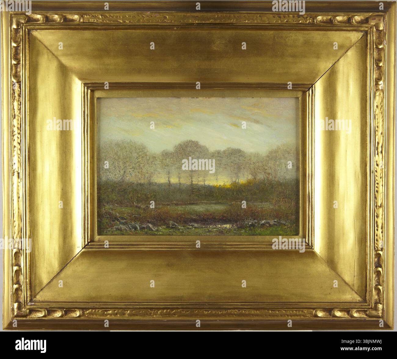 Il 'Evening Landscape' di Dwight William Tryon del 1920 cattura la serena bellezza del crepuscolo in natura. La pittura a olio su pannello ritrae un tranquillo ambiente rurale, enfatizzando la calda luce dorata del tramonto e le delicate transizioni di colore. Foto Stock