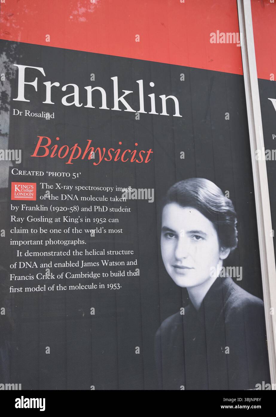 Rosalind Elsie Franklin (1920 – 1958) è stata una chimica britannica e cristallografa a raggi X. Il suo lavoro è stato fondamentale per la comprensione del DNA/RNA. Foto Stock
