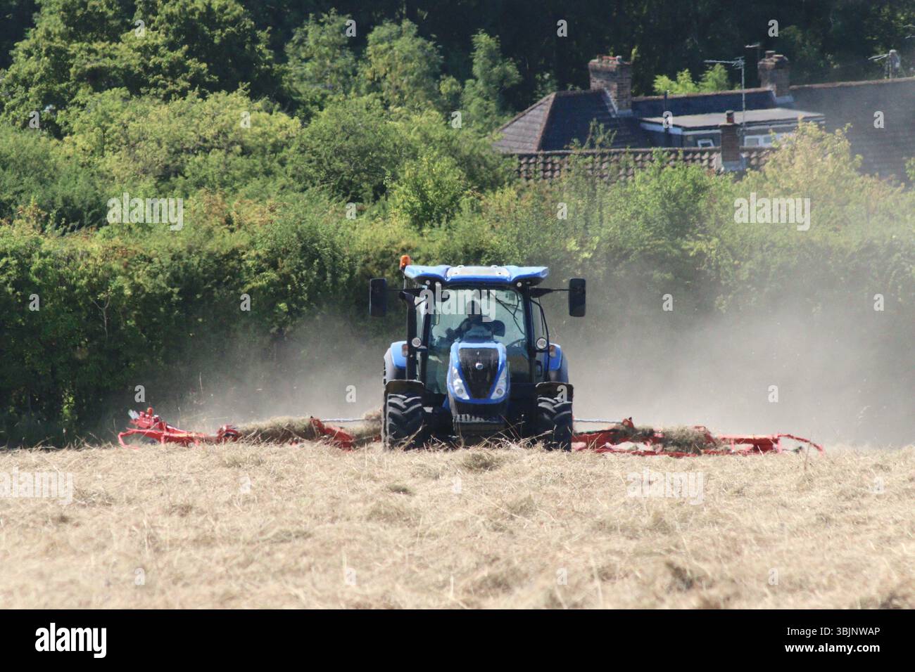 Trattore New Holland T5 che lavora con un attrezzo per lo scuotimento del fieno Kuhn, girando e spargendo il fieno all'asciutto prima dell'imballaggio e dello stoccaggio per l'alimentazione degli animali invernale. Foto Stock